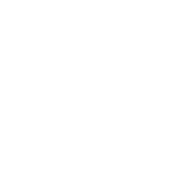 Choose Specialization